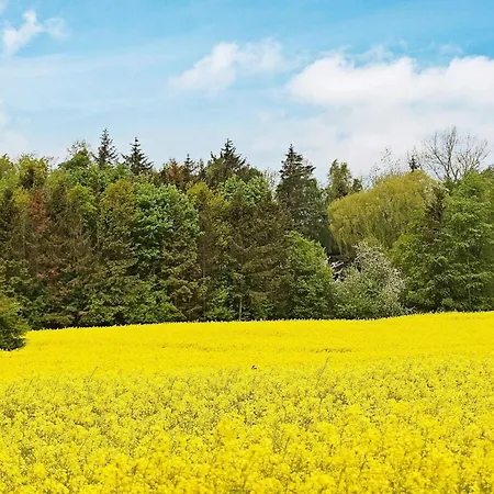 18 Person In Hasselberg Dom wakacyjny Kappeln